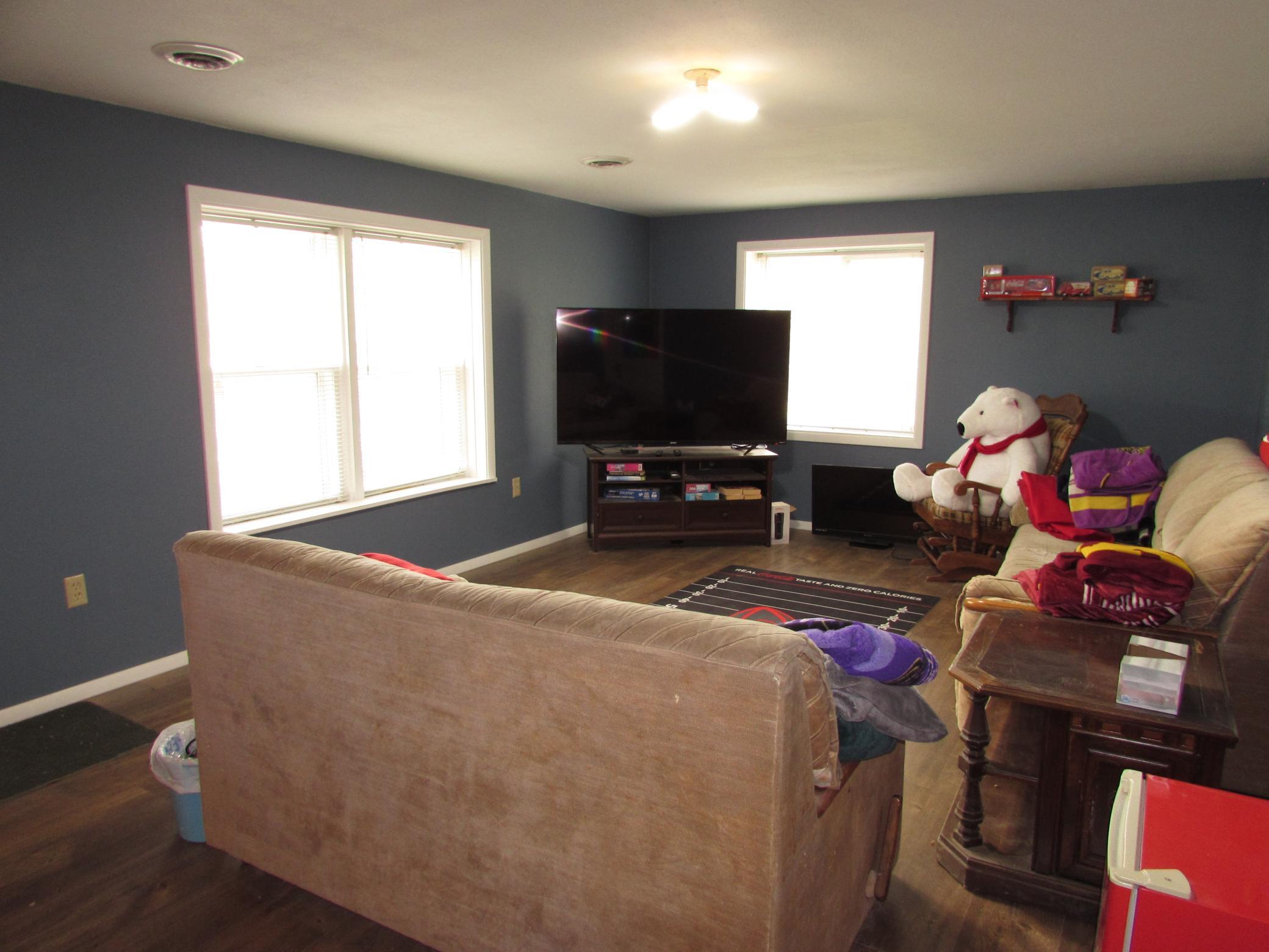 Basement Family Room
