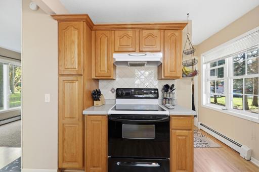 135 Pleasant Avenue NE, Cokato, MN 55321