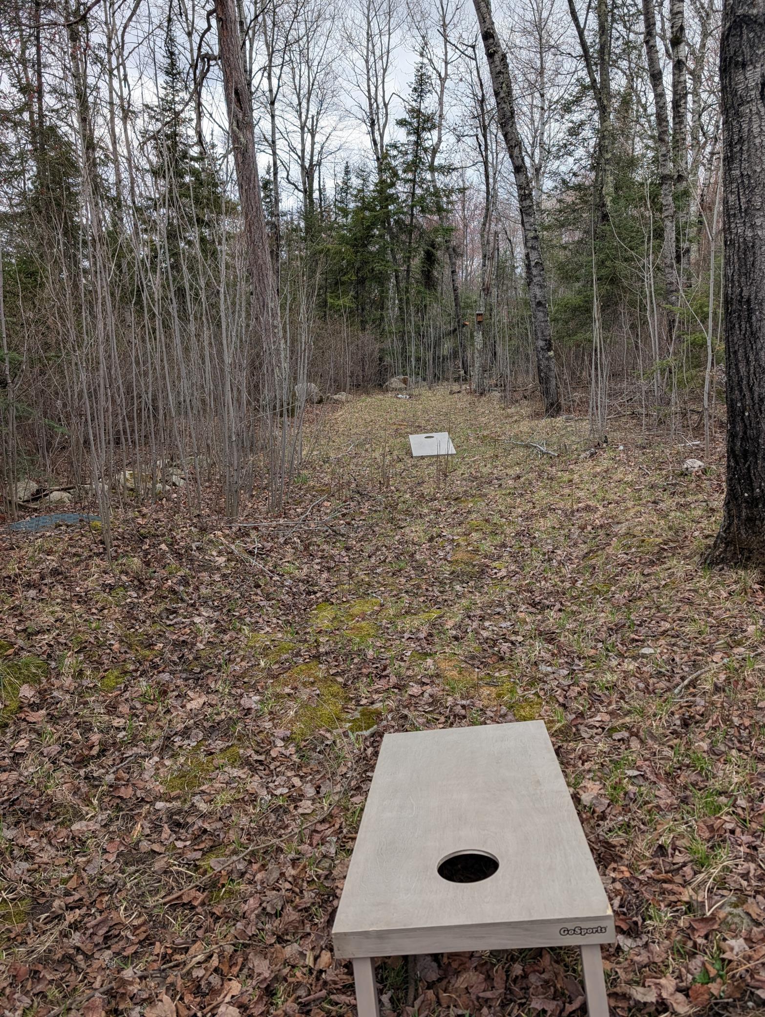 PXL_20260510_202046168.jpg