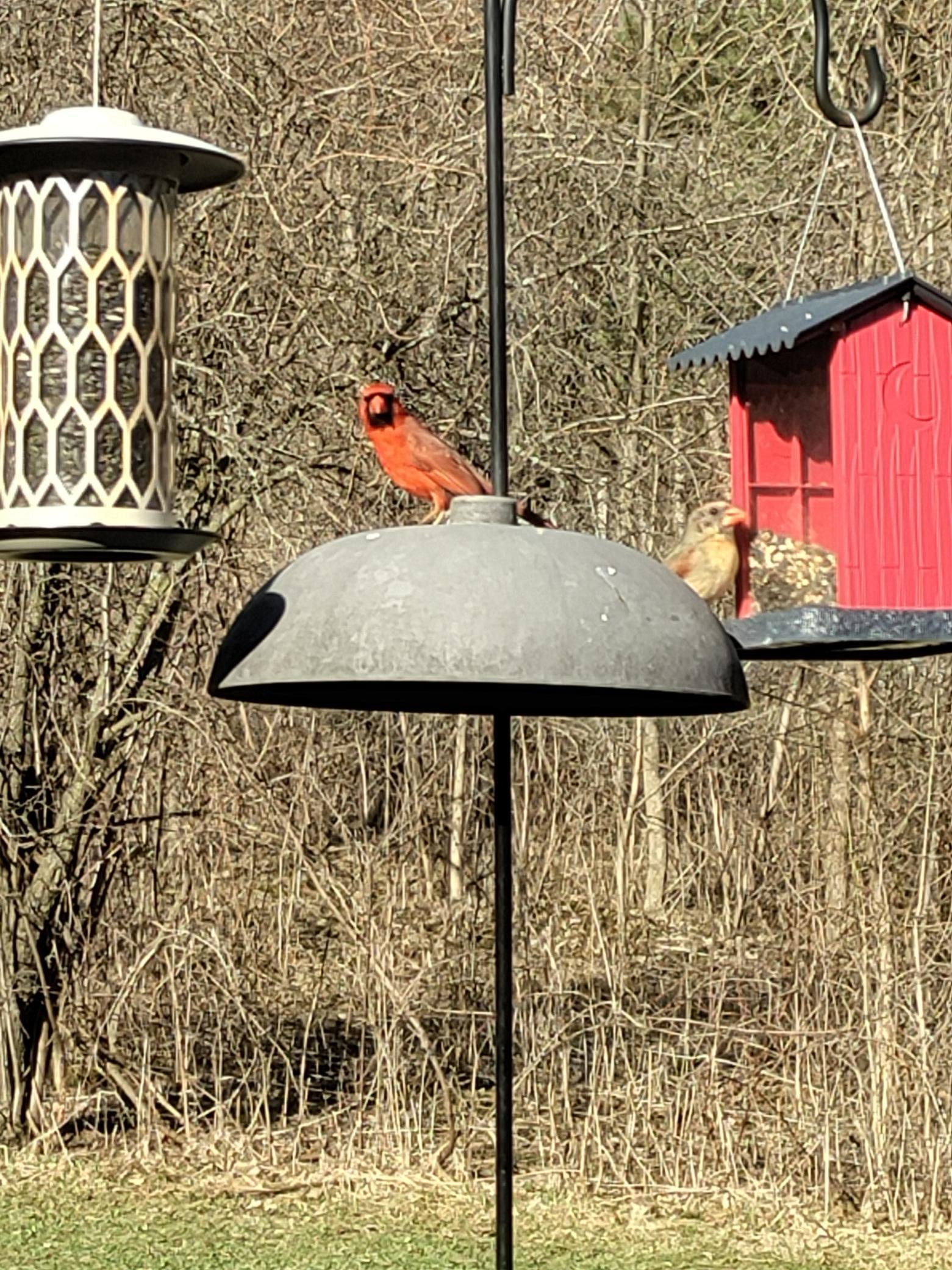 A Rare Combination of Privacy, Wildlife & Future Possibilities