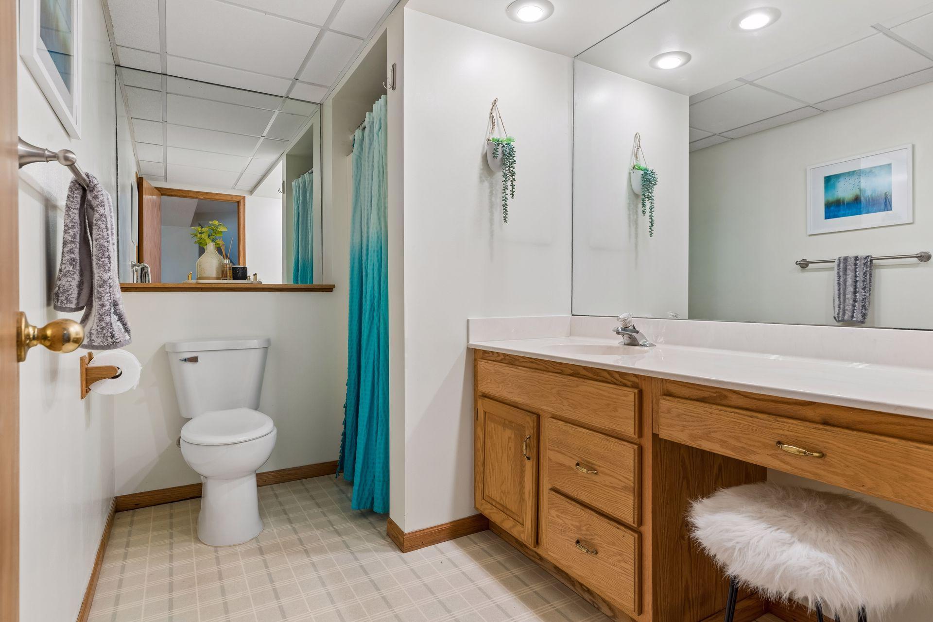 Lower level 3/4 bathroom.