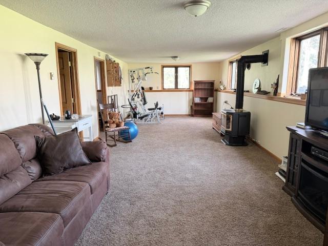 image12.jpeg