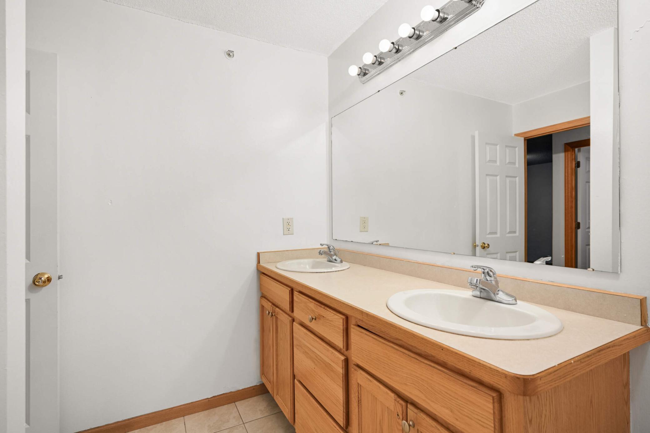 Dual sink setup