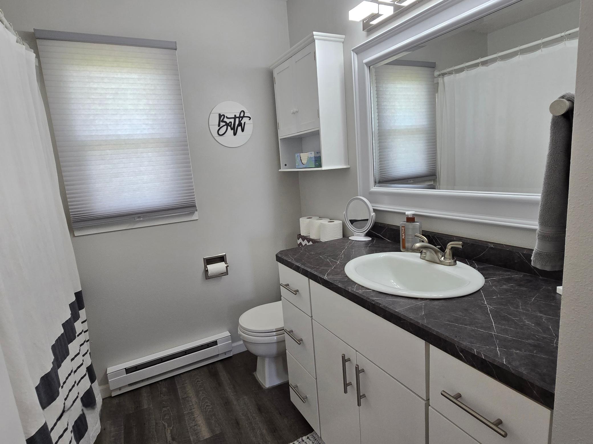 main floor bathroom.jpg