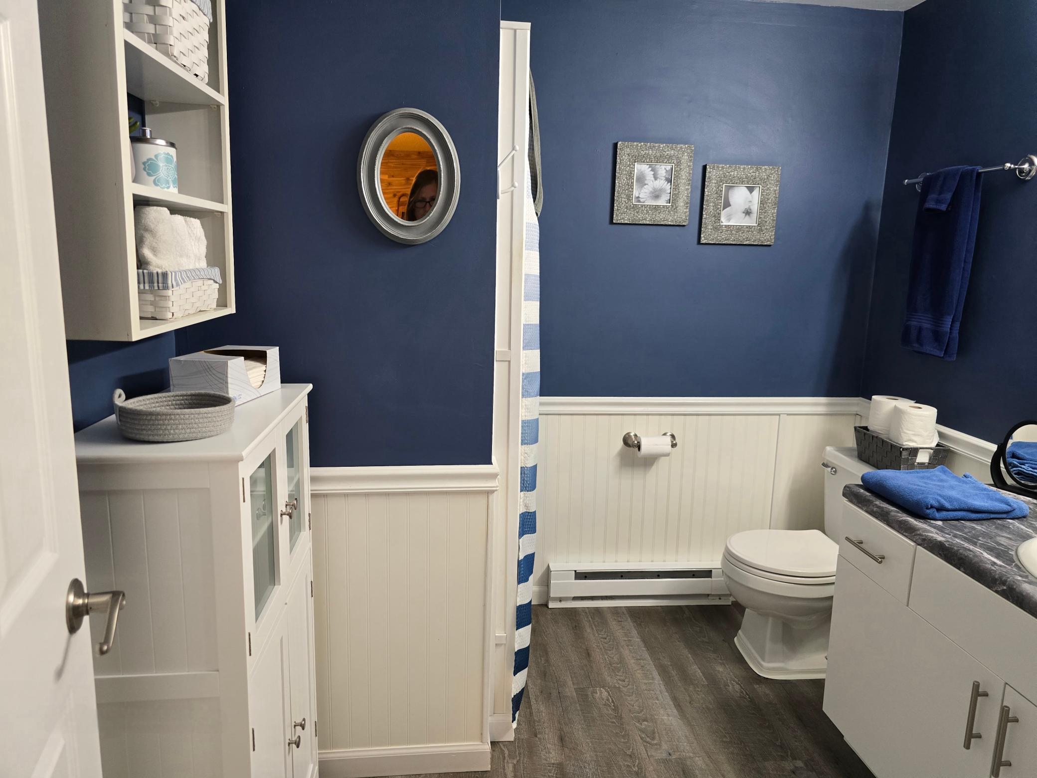 lower level bathroom.jpg