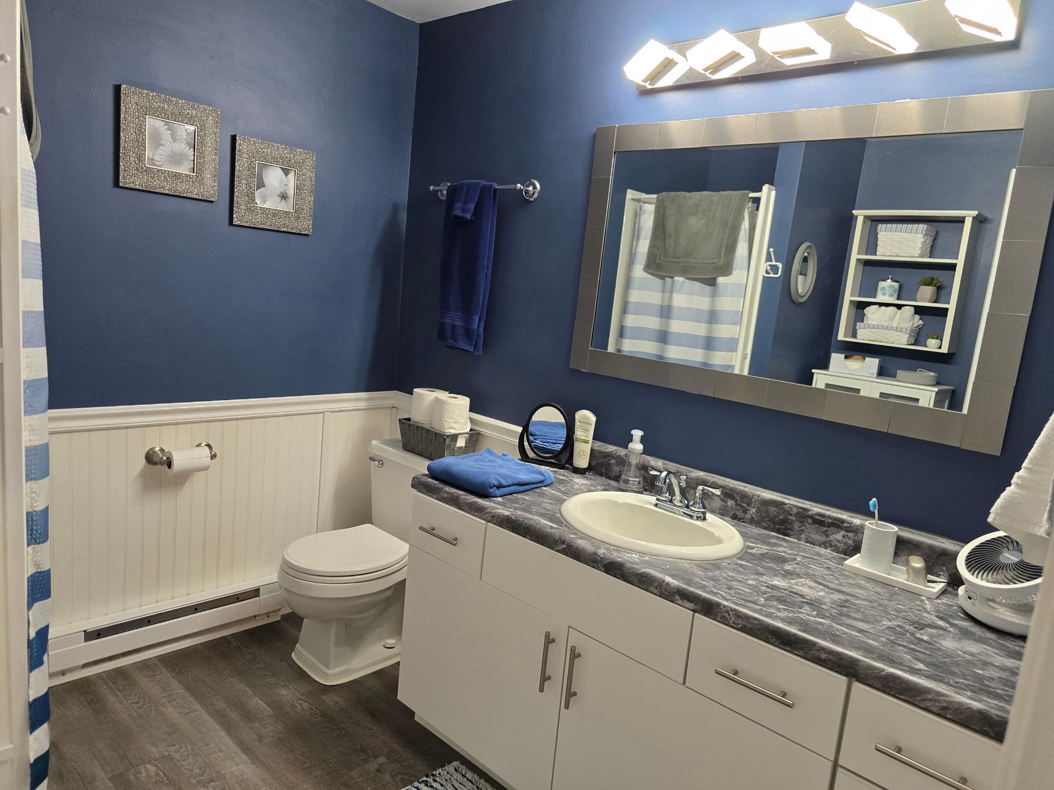 lower level blue bathroom.jpg