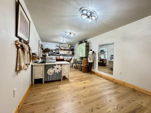 23673 Clarissa Haven Drive, Henning, MN 56551