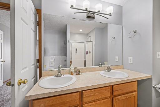 1737 Philipp Drive, Shakopee, MN 55379