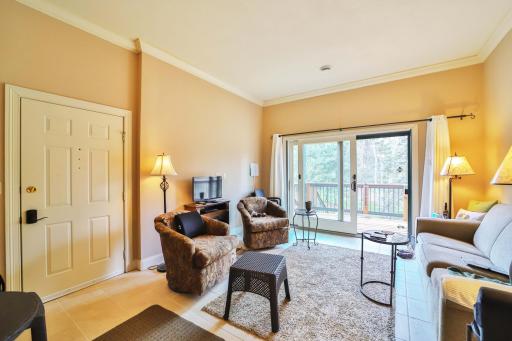 8221 Kraemer Lane, 202, Lake Shore, MN 56468