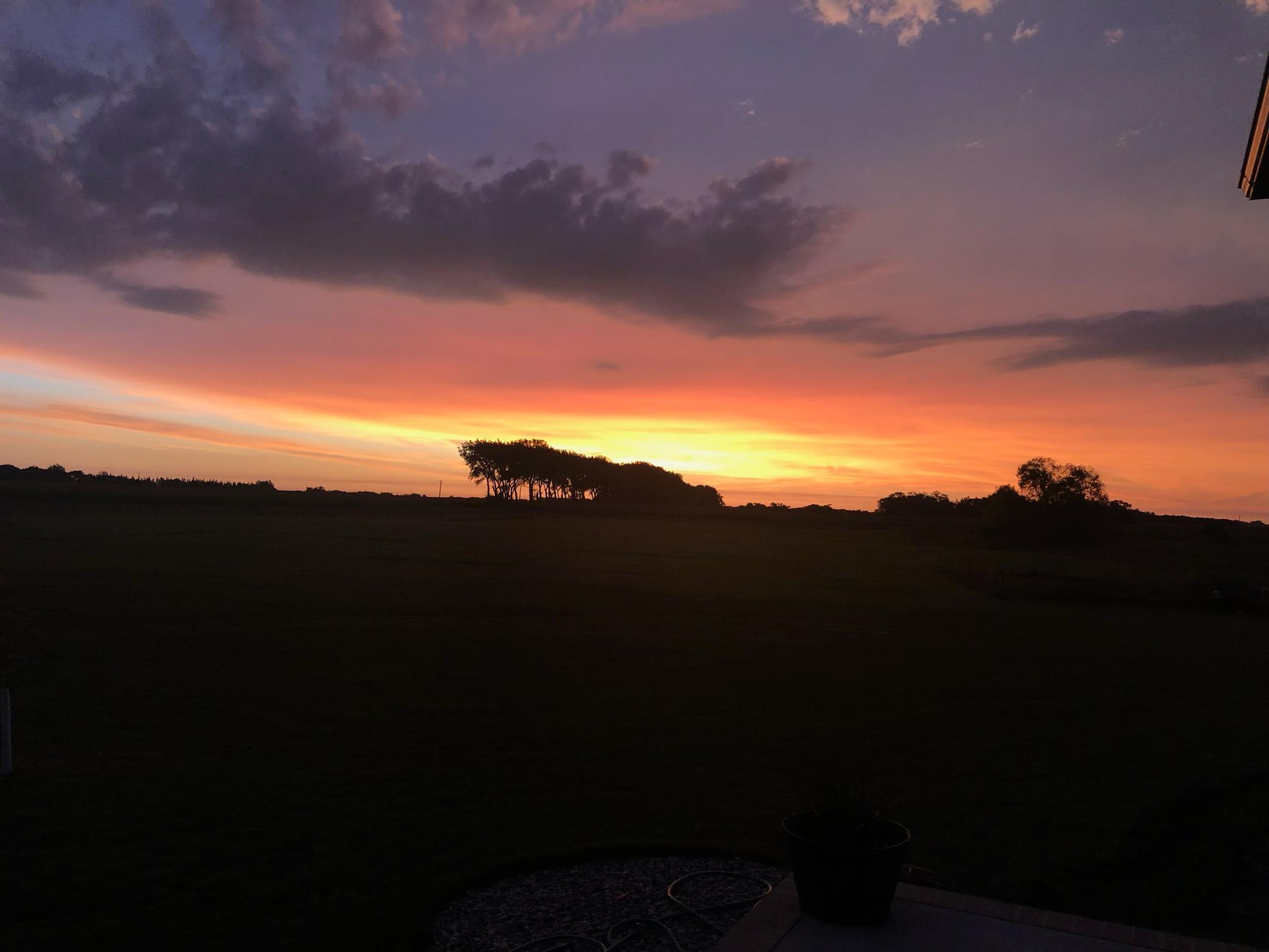 IMG_5672.jpeg