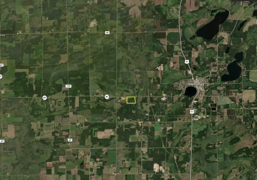 TBD State Highway 87, Menahga, MN 56464