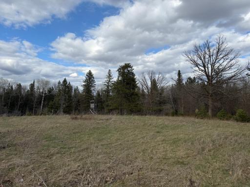TBD State Highway 87, Menahga, MN 56464