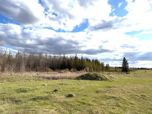 TBD State Highway 87, Menahga, MN 56464