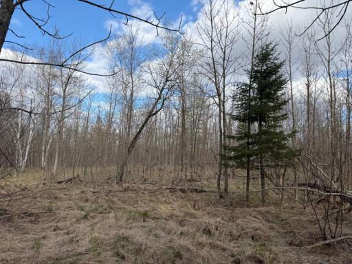 TBD State Highway 87, Menahga, MN 56464