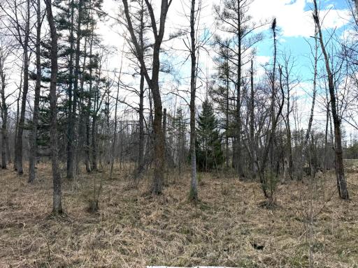 TBD State Highway 87, Menahga, MN 56464