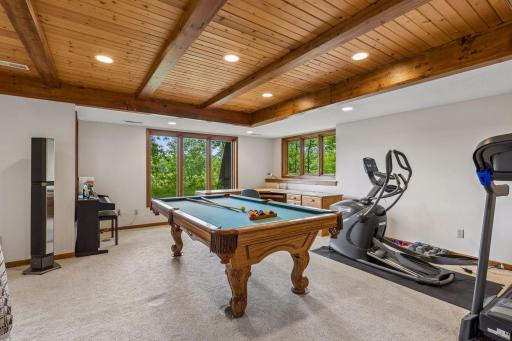 1 Snowy Owl Lane, North Oaks, MN 55127