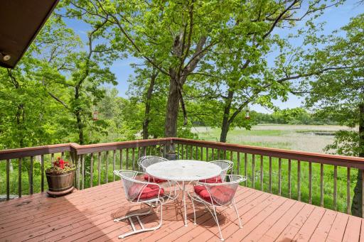 1 Snowy Owl Lane, North Oaks, MN 55127