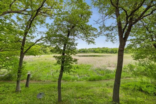 1 Snowy Owl Lane, North Oaks, MN 55127