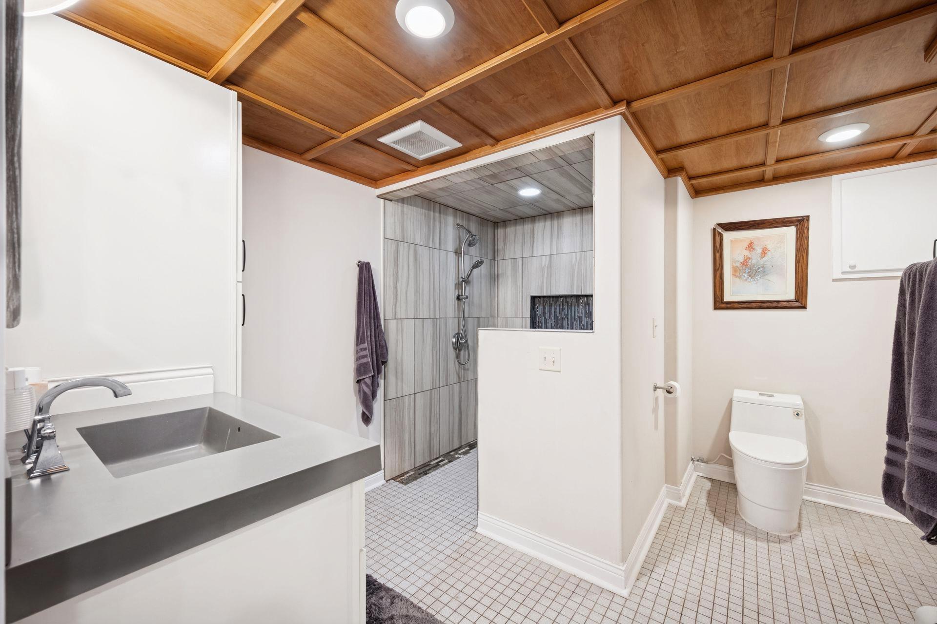 Lower Level Bathroom