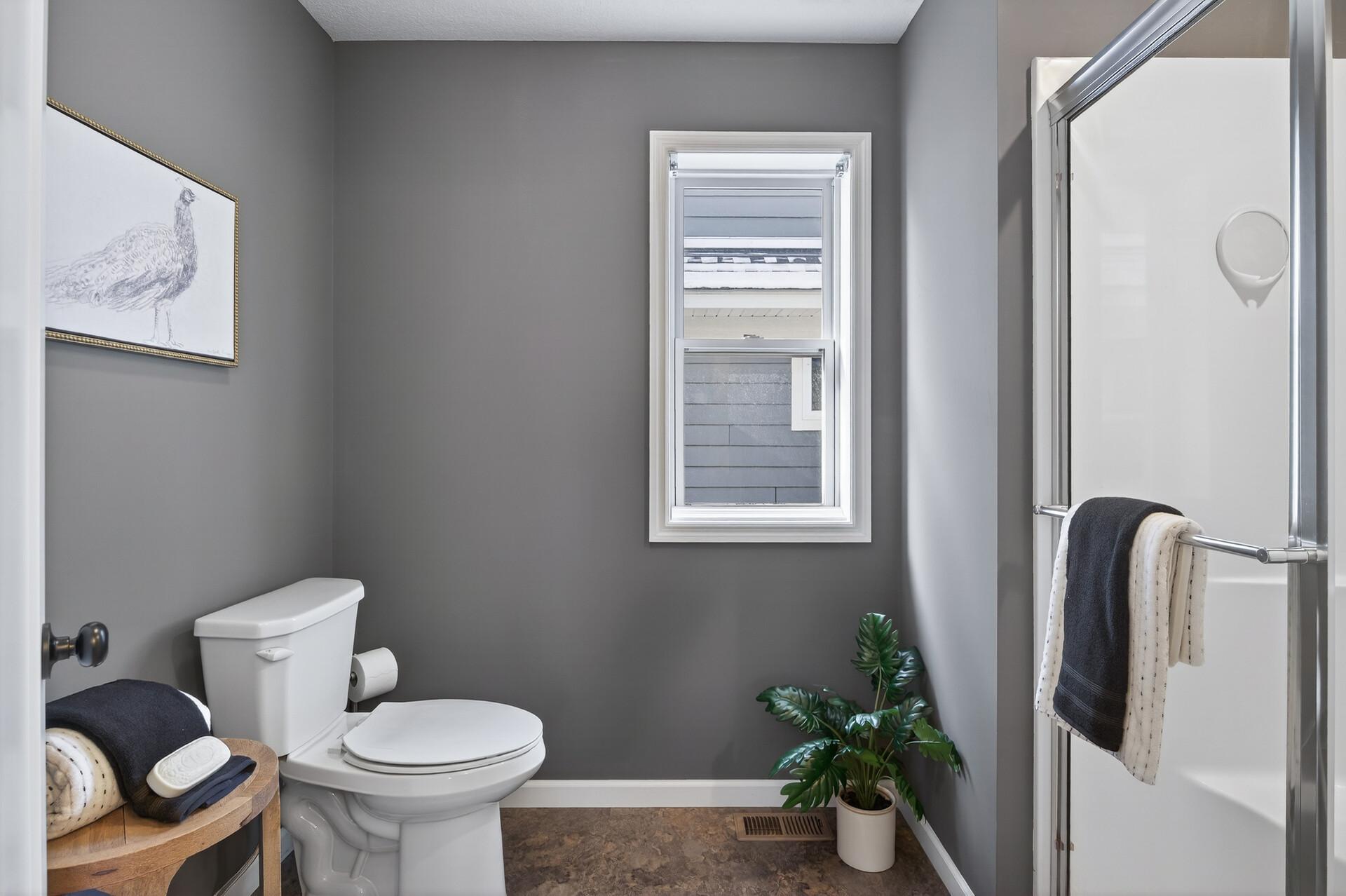 Upper level bathroom separate shower area