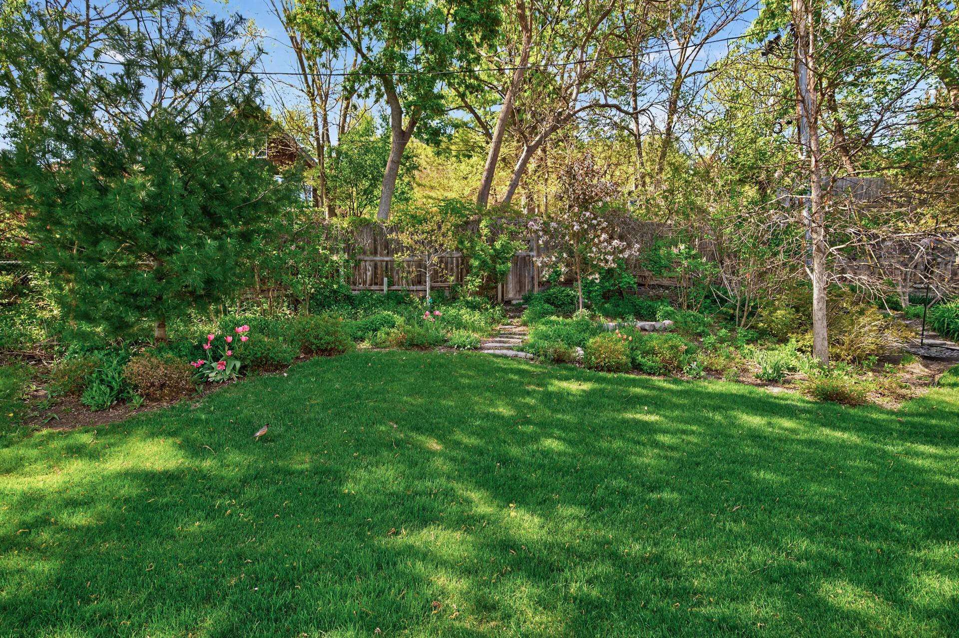 Backyard looks like a secret garden