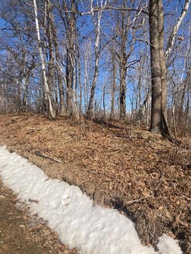 TBD Sherwood Drive SW, Motley, MN 56466