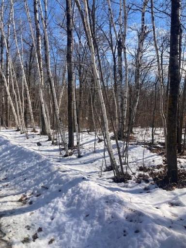 TBD Sherwood Drive SW, Motley, MN 56466