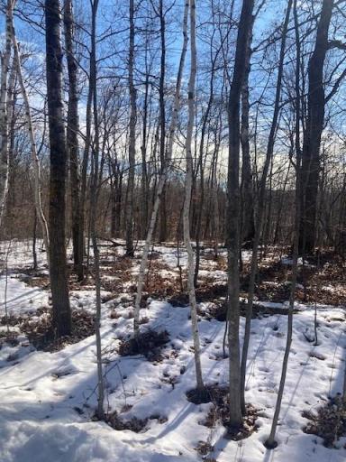 TBD Sherwood Drive SW, Motley, MN 56466