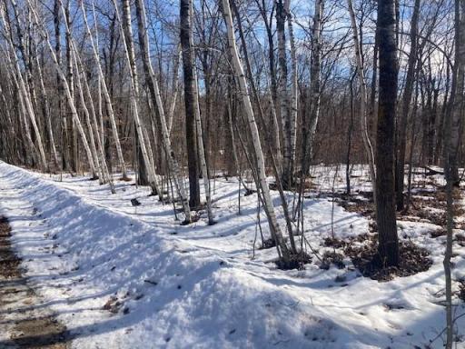 TBD Sherwood Drive SW, Motley, MN 56466