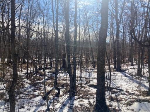 TBD Sherwood Drive SW, Motley, MN 56466