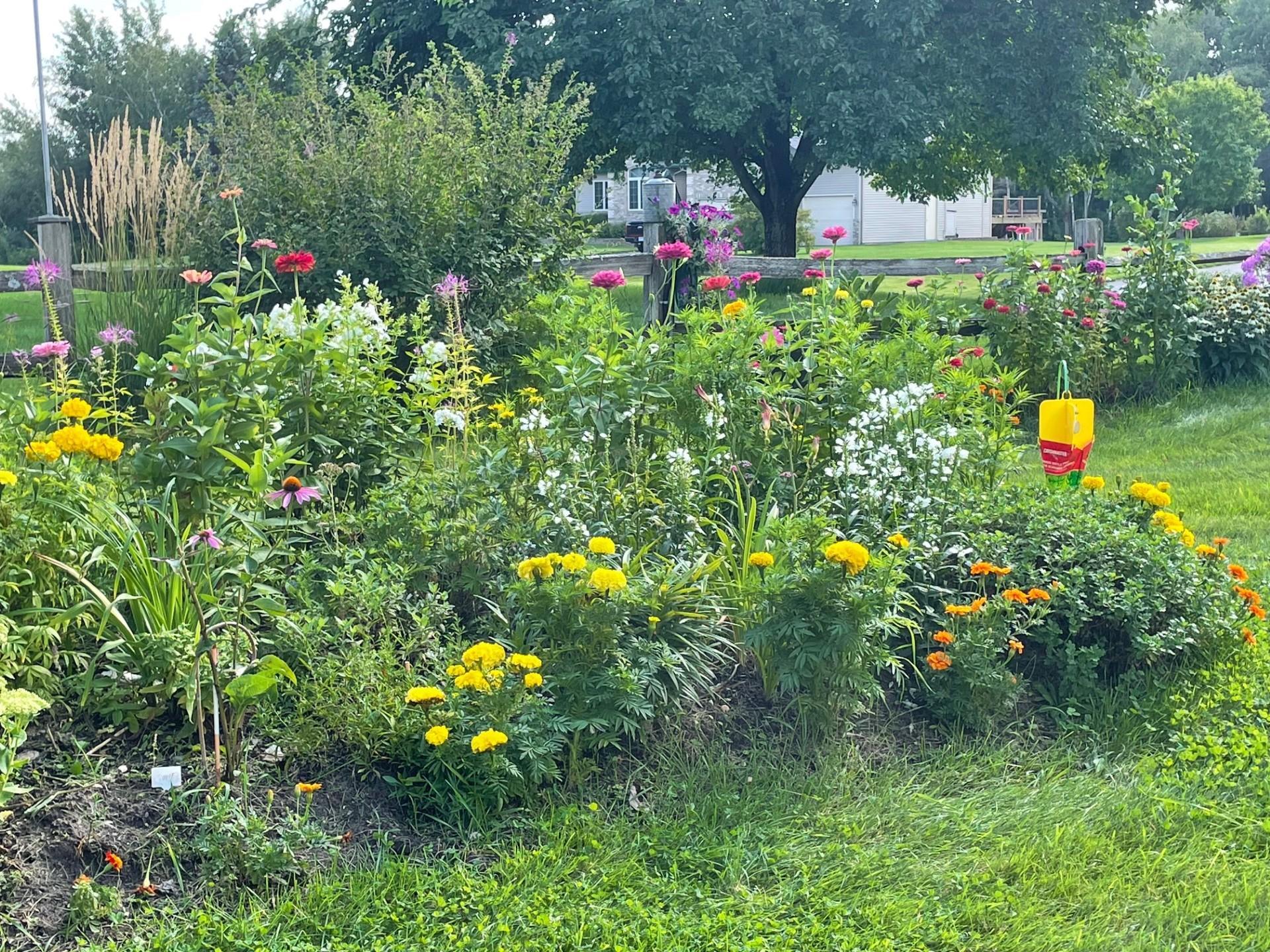 South garden
