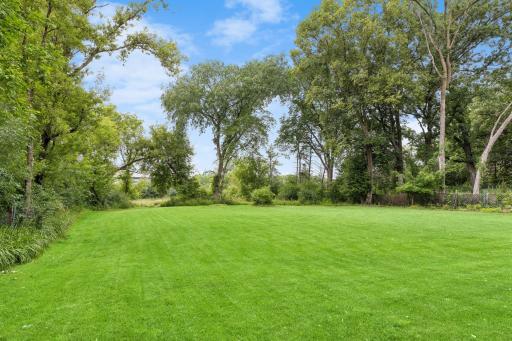 Serene woodland area & preserve