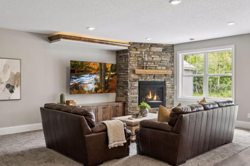 Lower level family room