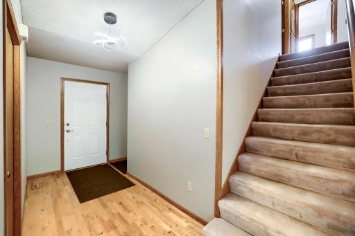 6625 White Birch Court, Circle Pines, MN 55014