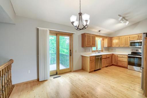 6625 White Birch Court, Circle Pines, MN 55014