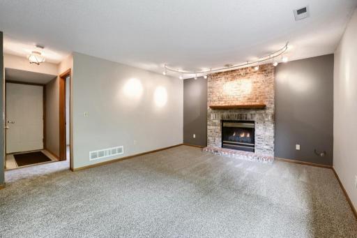 6625 White Birch Court, Circle Pines, MN 55014