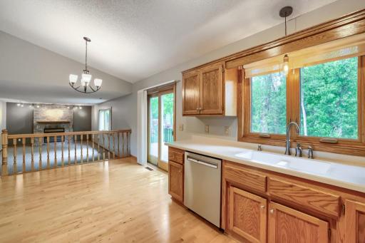 6625 White Birch Court, Circle Pines, MN 55014