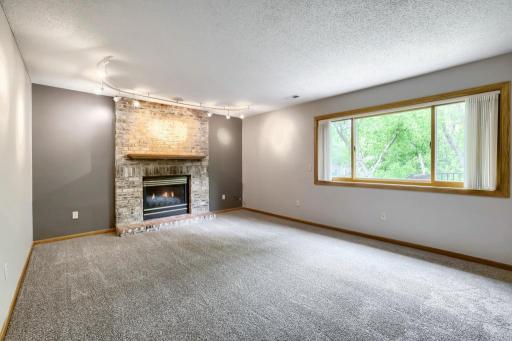 6625 White Birch Court, Circle Pines, MN 55014
