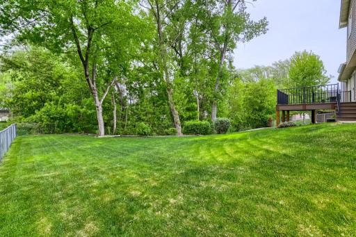 6625 White Birch Court, Circle Pines, MN 55014