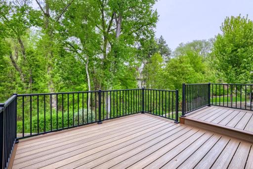 6625 White Birch Court, Circle Pines, MN 55014