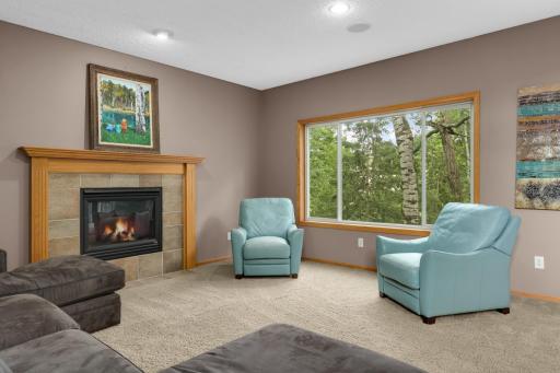 Views of the private wooded backyard from the living room.
