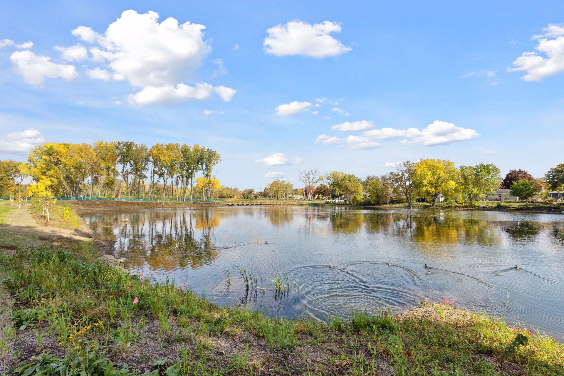Walking path around pond