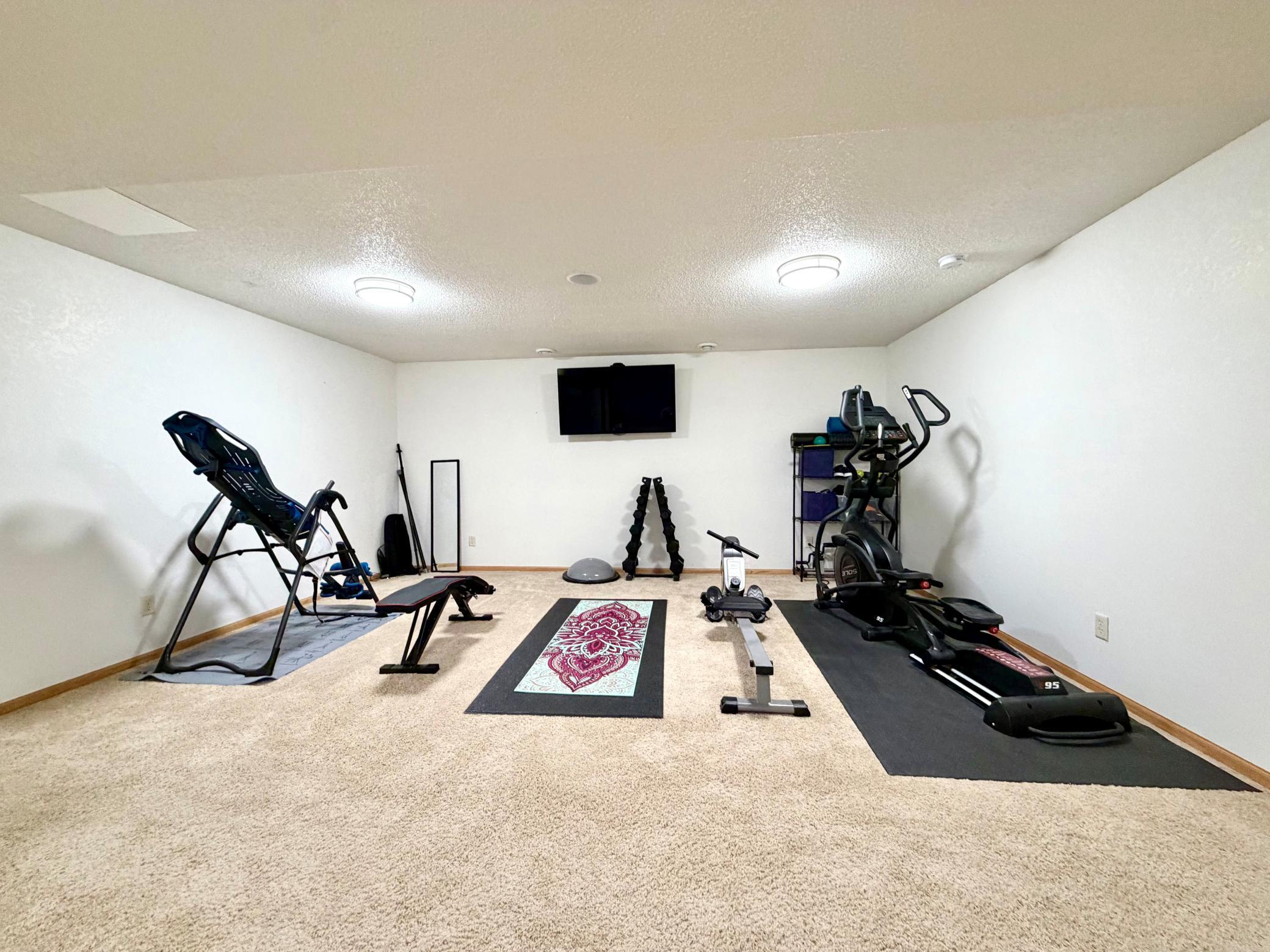 Lower level exercise area.jpg