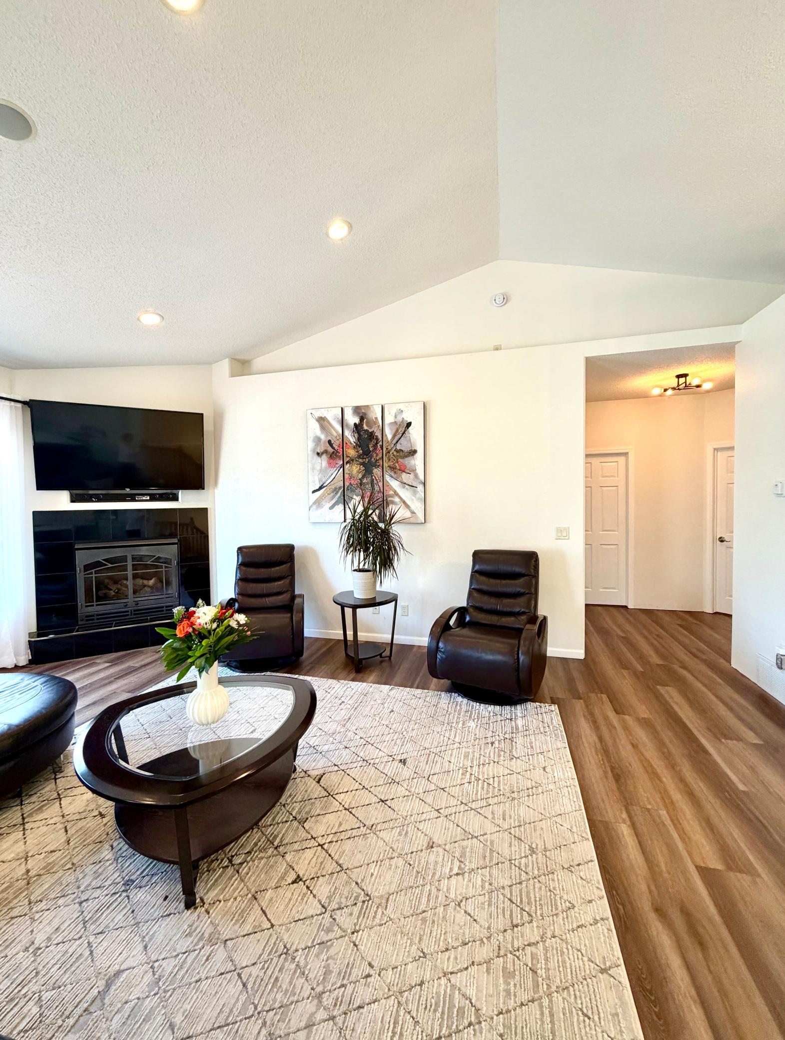 Living Room Gas fireplace & vaulted ceiling.jpeg