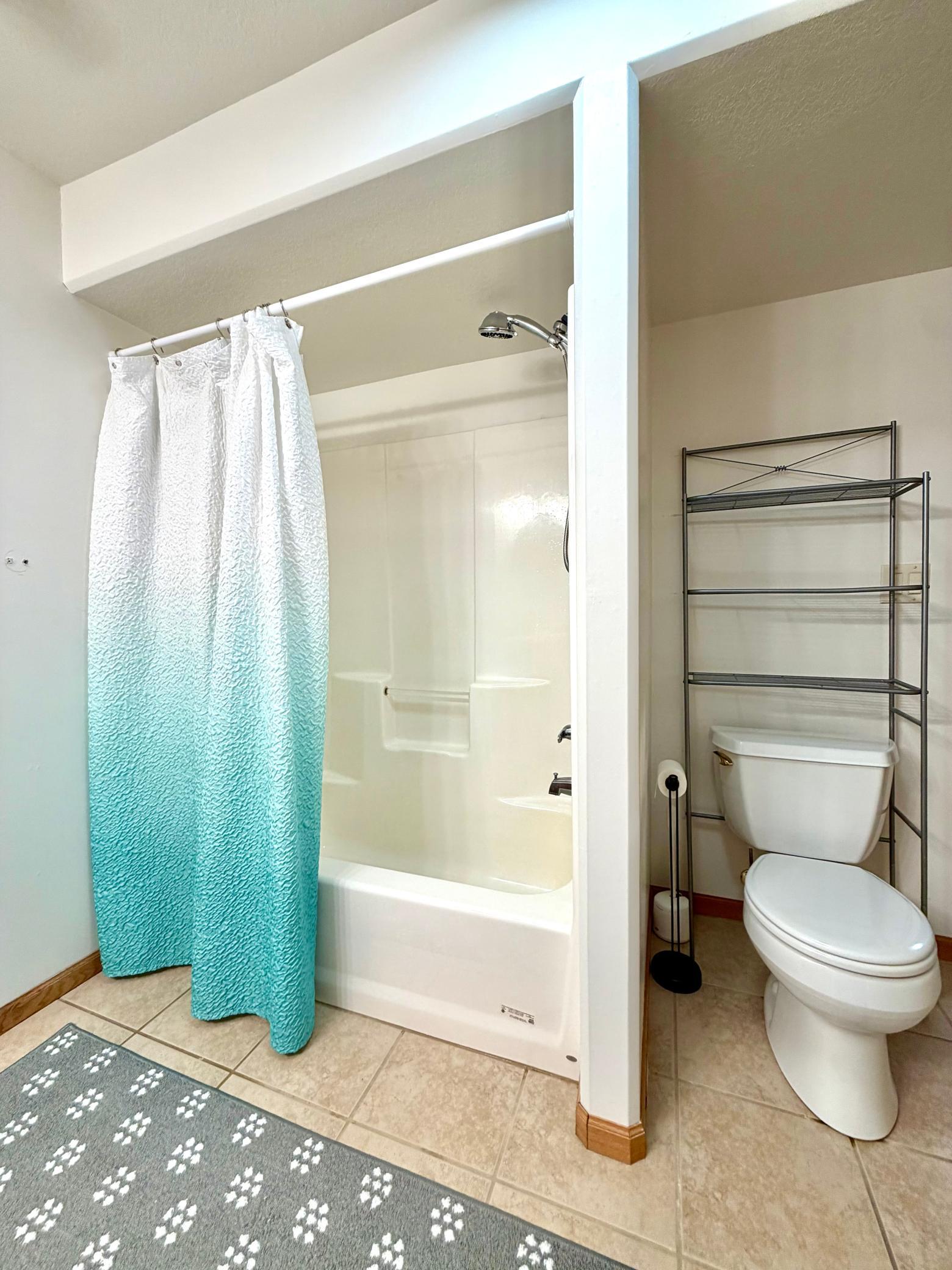 Lower level full bathroom.jpeg