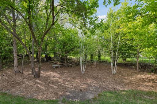 Enjoy the private, treetop views of the backyard.