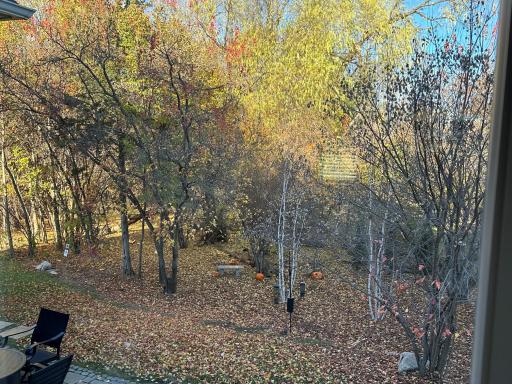 In the fall, enjoy the beautiful views as the trees change colors.