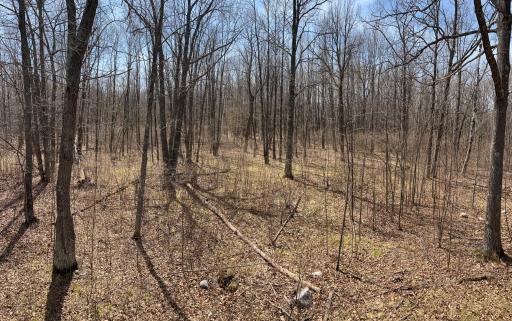 TBD NW 148th Street, Cass Lake, MN 56633