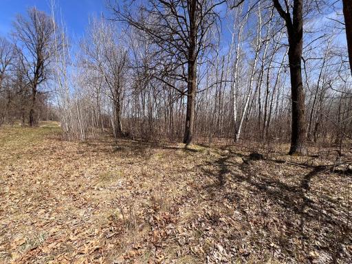 TBD NW 148th Street, Cass Lake, MN 56633