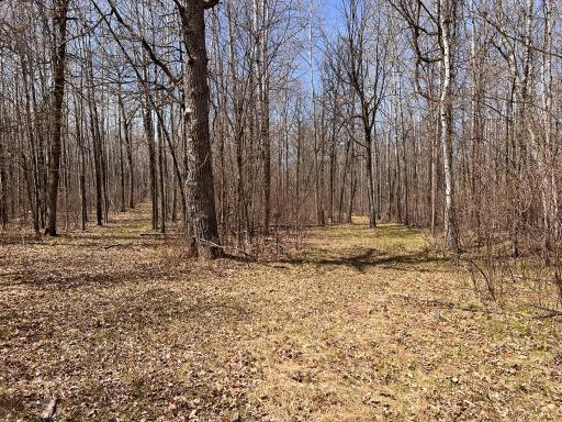 TBD NW 148th Street, Cass Lake, MN 56633